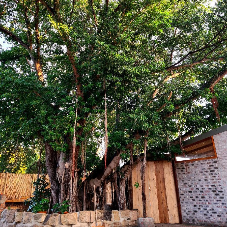 Uthando Backpackers Lodge Oudtshoorn Exterior foto